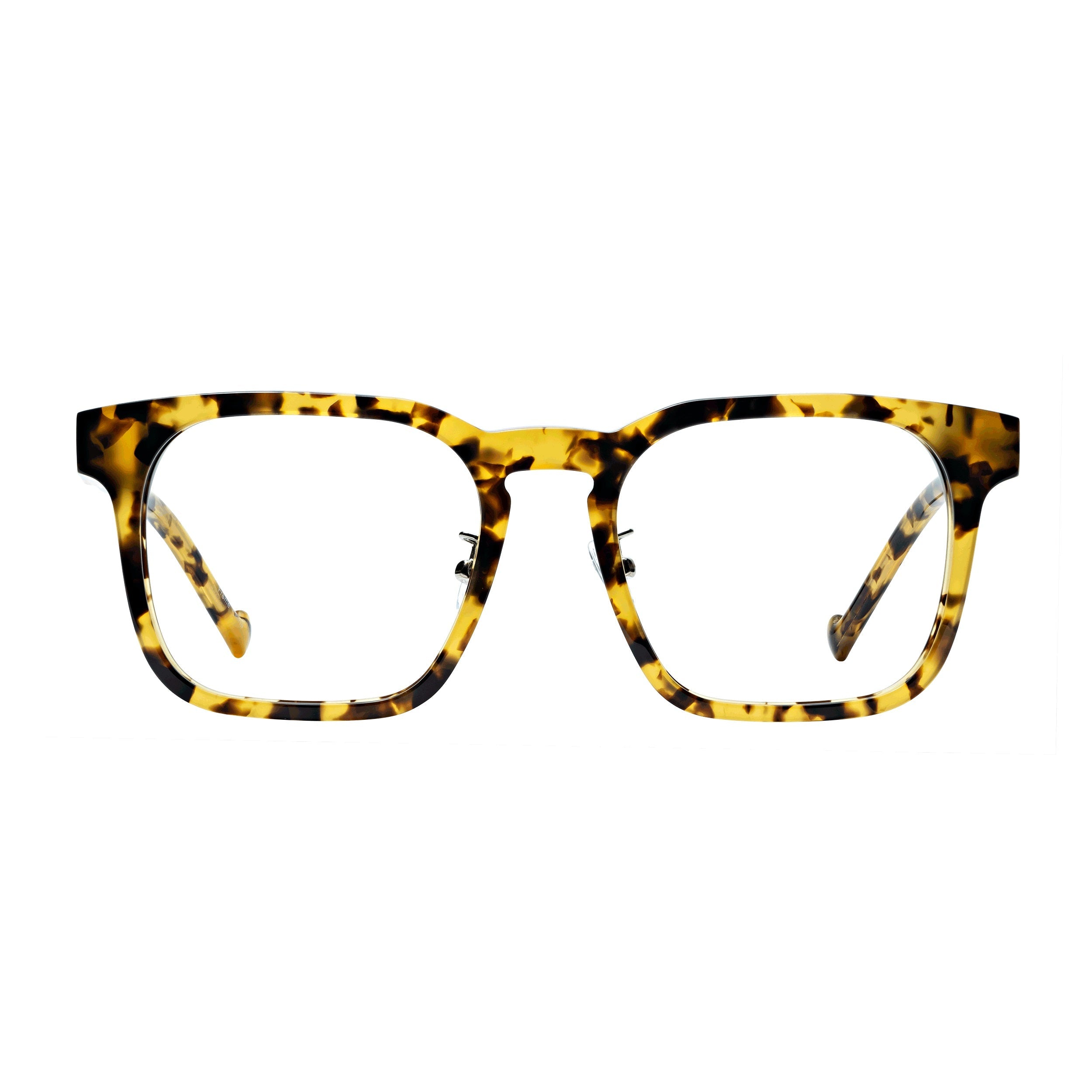 Dawn Tortoise Progressive Reading Glasses with Photochromic Lenses, view 6