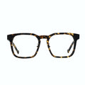 Dawn Tortoise Progressive Reading Glasses with Photochromic Lenses