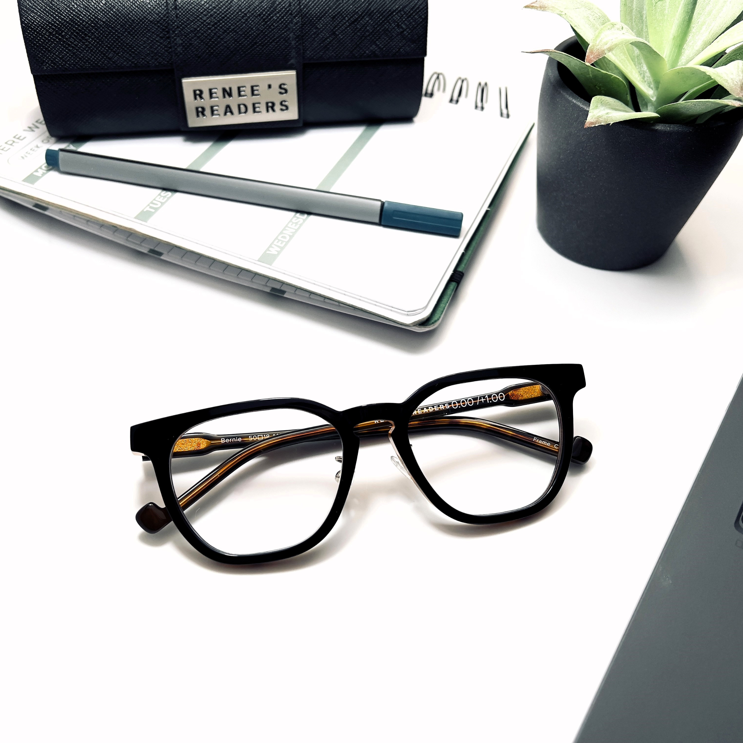 Bern Tortoise Progressive Reading Glasses, view 9